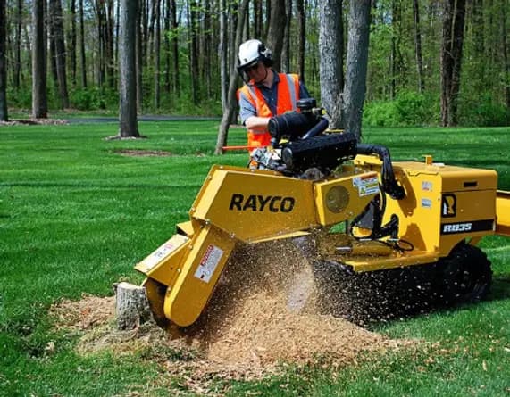 tree-service worker operating a stump grinder on a lawn