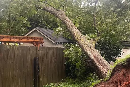 storm-damaged tree leaning across a residential fence