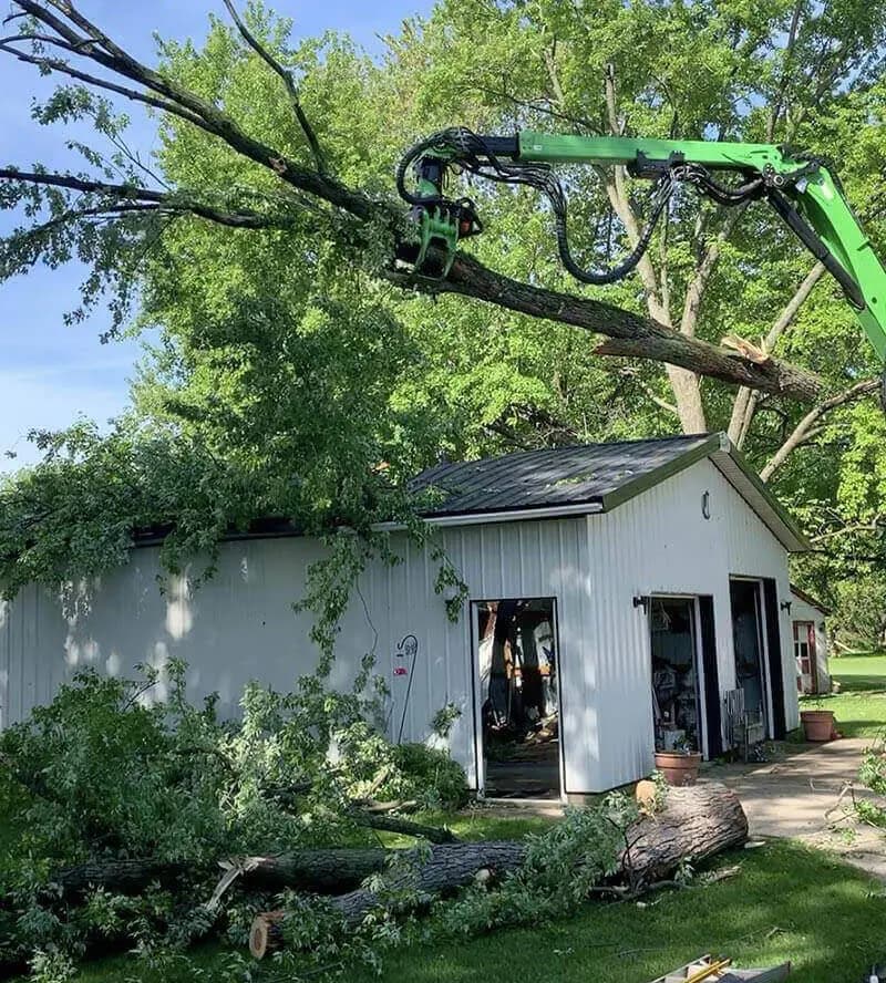 worker cutting a storm-damaged tree near a home