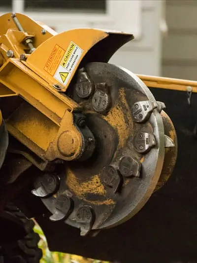 close-up of a stump grinder cutting wheel and teeth