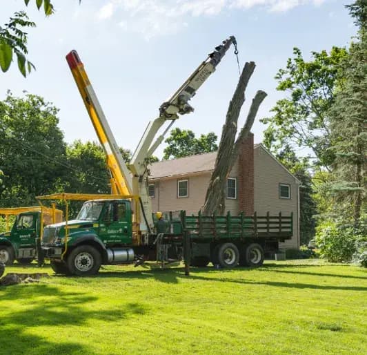 tree removal crew using a crane to lift cut tree sections near a home
